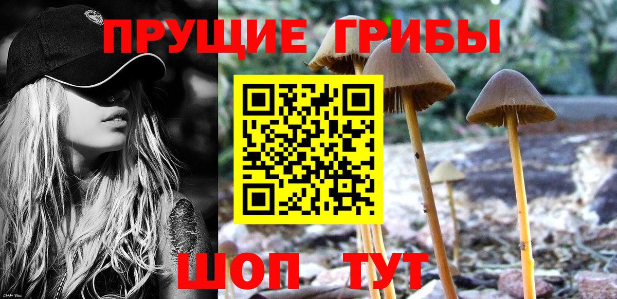 Псилоцибиновые грибы GOLDEN TEACHER Железногорск