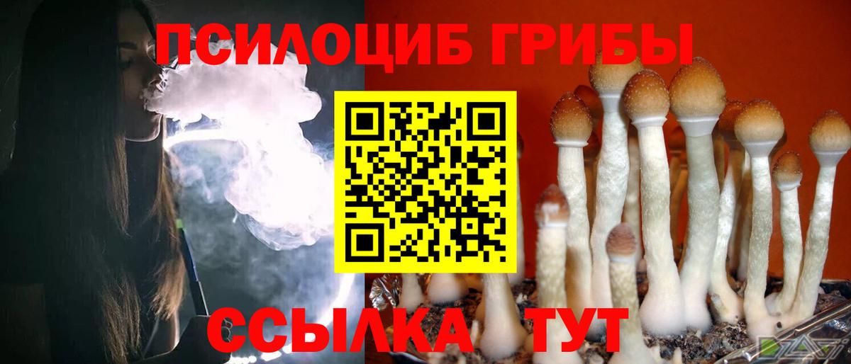 Железногорск  Псилоцибиновые грибы мицелий  Вход с VPN  Псилоцибиновые грибы прущие грибы 