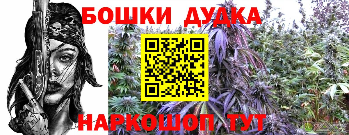 Железногорск  Марихуана гибрид  Канабис план  Вход с VPN  Бошки Шишки AK-47 